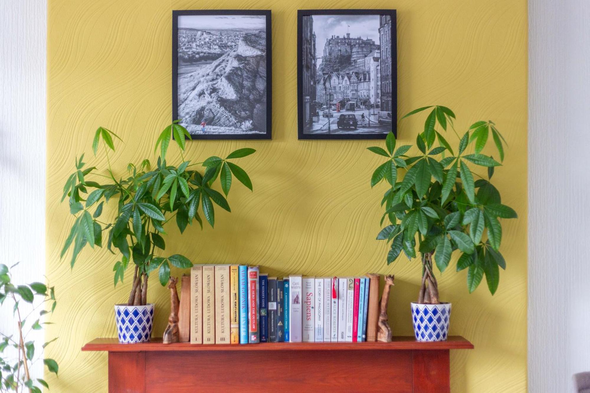 Bright & Spacious Double Room With Garden View- Close To Airport & City Centre Edynburg Zewnętrze zdjęcie